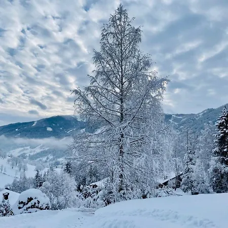 Alpenliebe Appartement Bad Kleinkirchheim