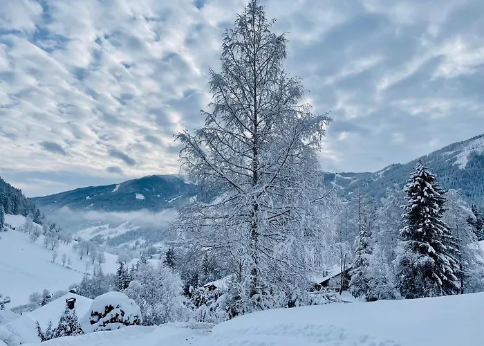 Alpenliebe Apartament Bad Kleinkirchheim